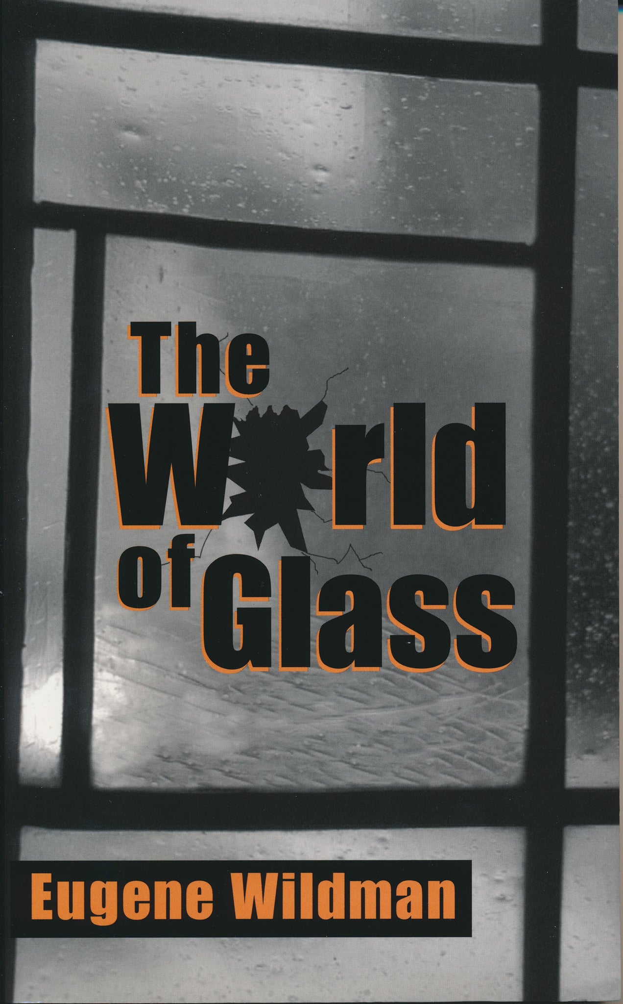 Cover image for The World of Glass ISBN 9780268019716